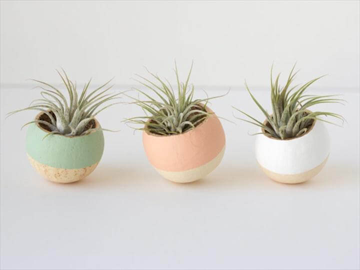 Painted Air Plant Bell Cups.