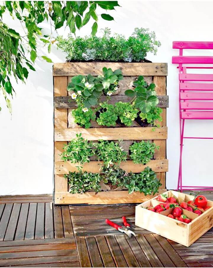 Pallet Vertical Garden.