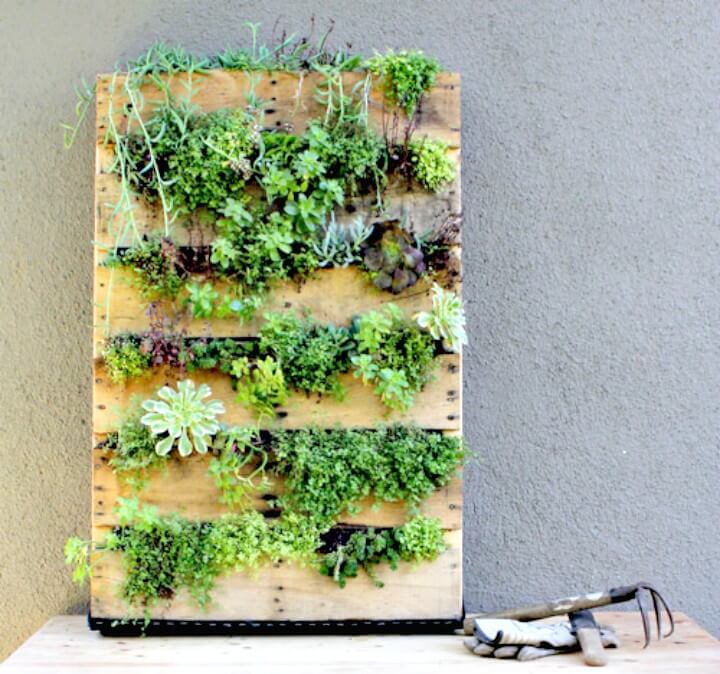 Recycled Pallet Vertical Garden.