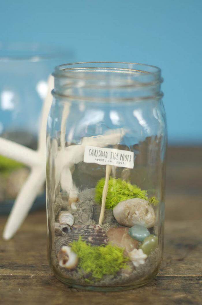 Tide Pool Container Fairy Garden.