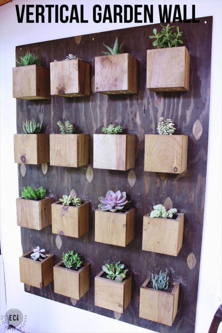 Vertical Succulent Planter Wall Display. Display Succulents in Your Home