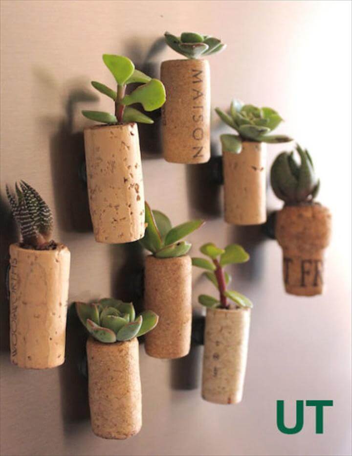 Wall Hanging Succulent Wine Corks. Display Succulents in Your Home