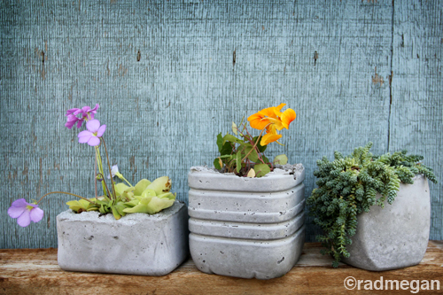 Concrete planters are fantastic additions.