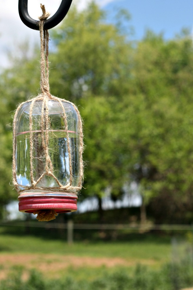 Fantastic bird feeder!