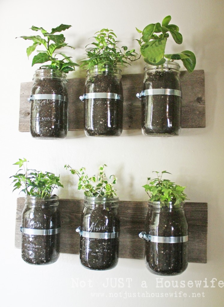 Make an adorable indoor or outdoor planter.