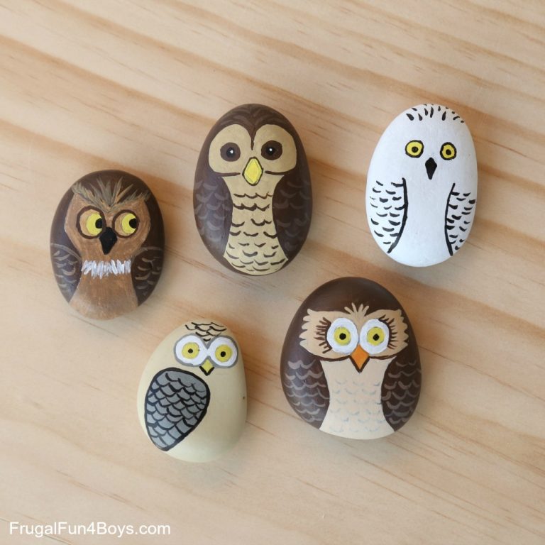 Owl Painted Rock Art.