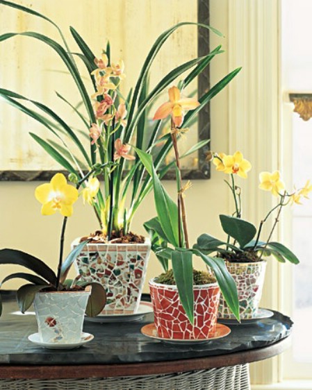 Create beautiful designer planters.