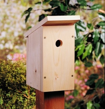 Nest box from single pine board. One Board Woodworking Project