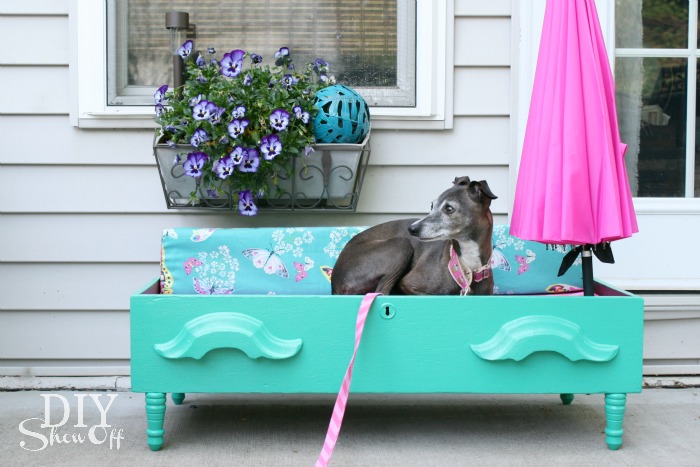 Pet Bed From Old Drawer.