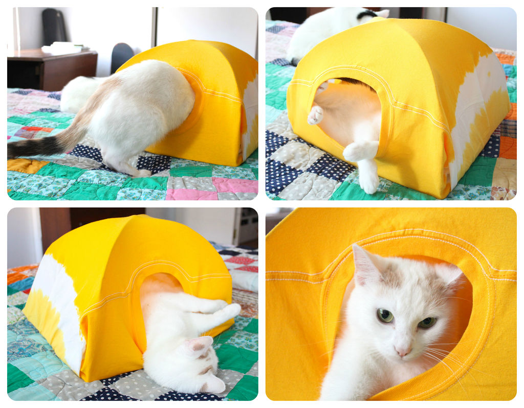 T-Shirt Cat Tent.