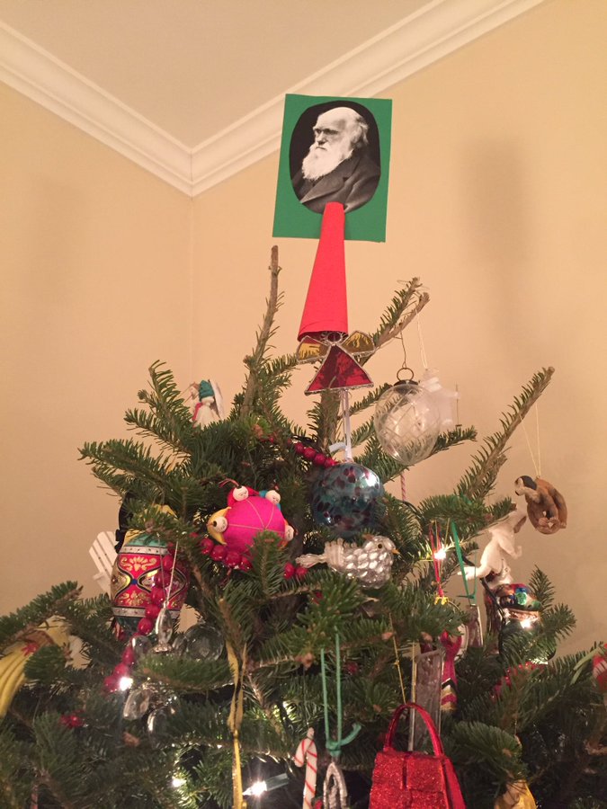 Christmas tree topper that better represented our values.