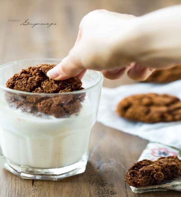 FoodfaithFitness- Healthy Ginger Snap Recipe & Paleo Christmas Cookies