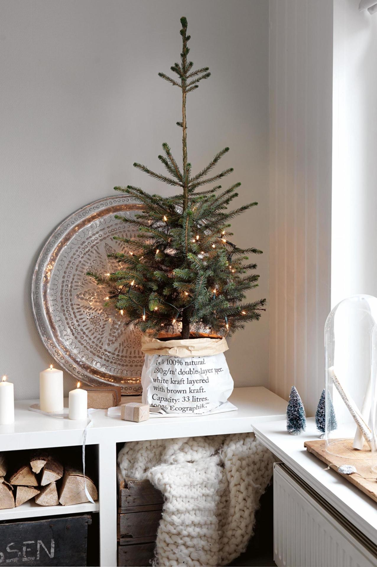 Mini Rustic Potted Christmas Tree Decor.