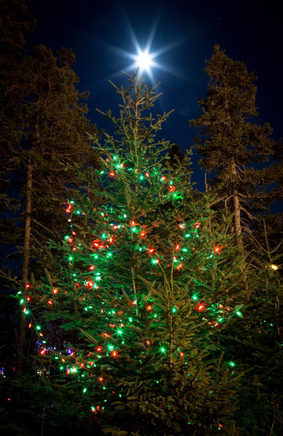 Moon makes the perfect Christmas tree topper.