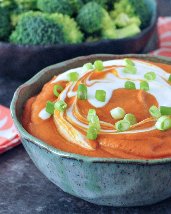 TASTY HIGH-PROTEIN ENCHILADA DIP BY SPABETTI