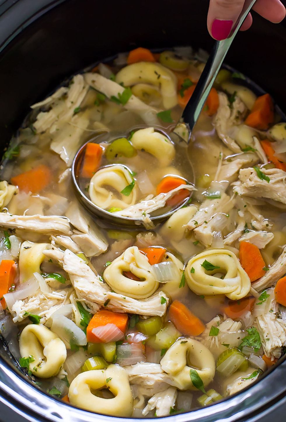 Tortellini Chicken Noodle Soup.