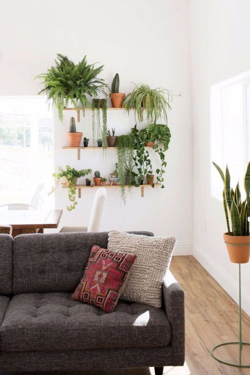 Vertical Killer Garden Wall in Your Apartment.